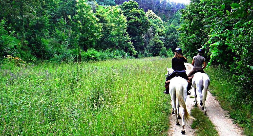 Quinta Lamosa Agroturismo アルコス・デ・ヴァルデヴェス エクステリア 写真